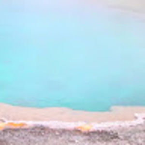 Meet your Posher, Gregorio